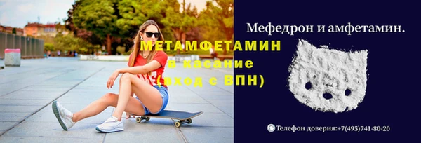 ГАЛЛЮЦИНОГЕННЫЕ ГРИБЫ Новозыбков
