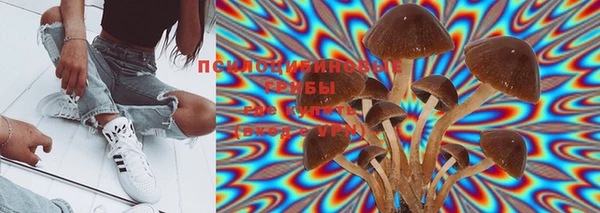 дурь Нея