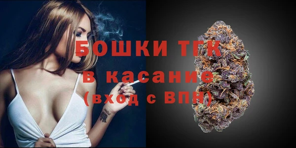 ГАЛЛЮЦИНОГЕННЫЕ ГРИБЫ Новозыбков