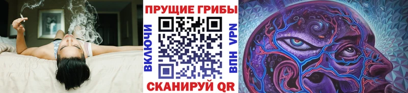 Галлюциногенные грибы MAGIC MUSHROOMS Кубинка